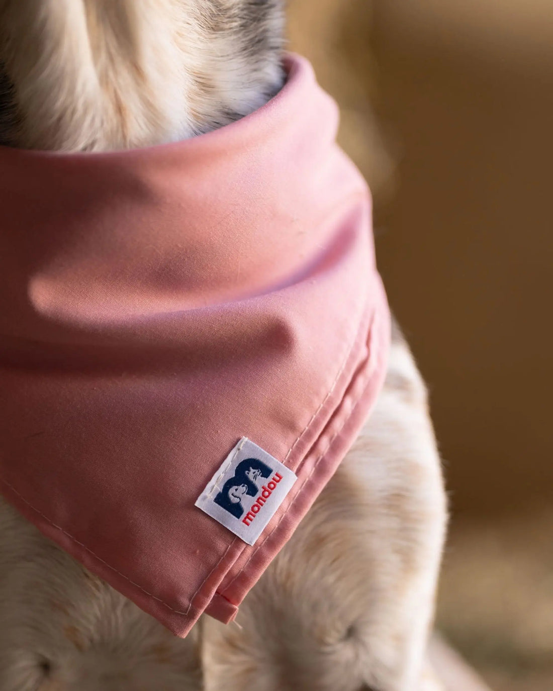 Mondou Dog Scarf