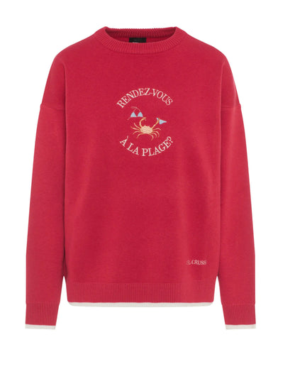 Pull Souvenir - Crustacé bronzé