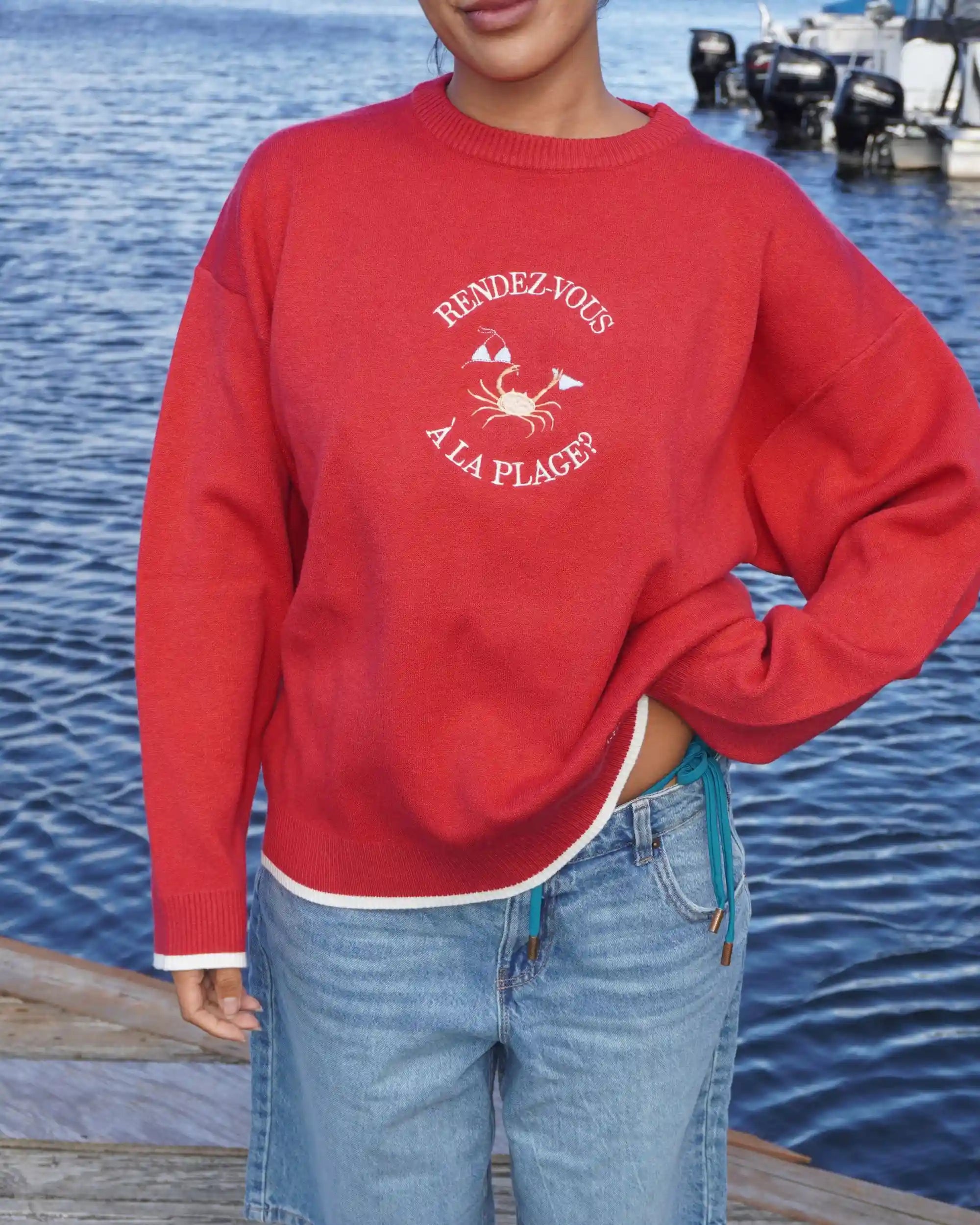 Pull Souvenir - Crustacé bronzé