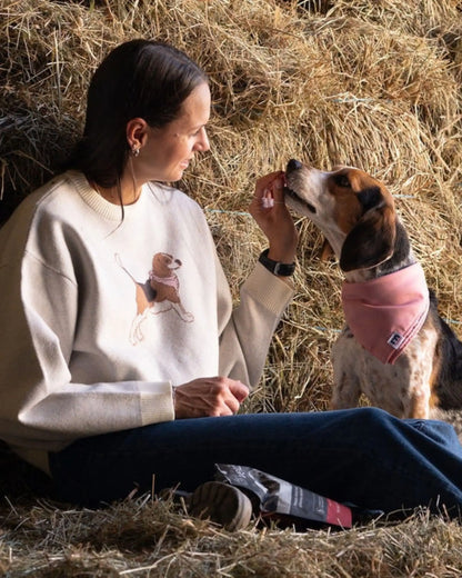 Mondou Dog Scarf